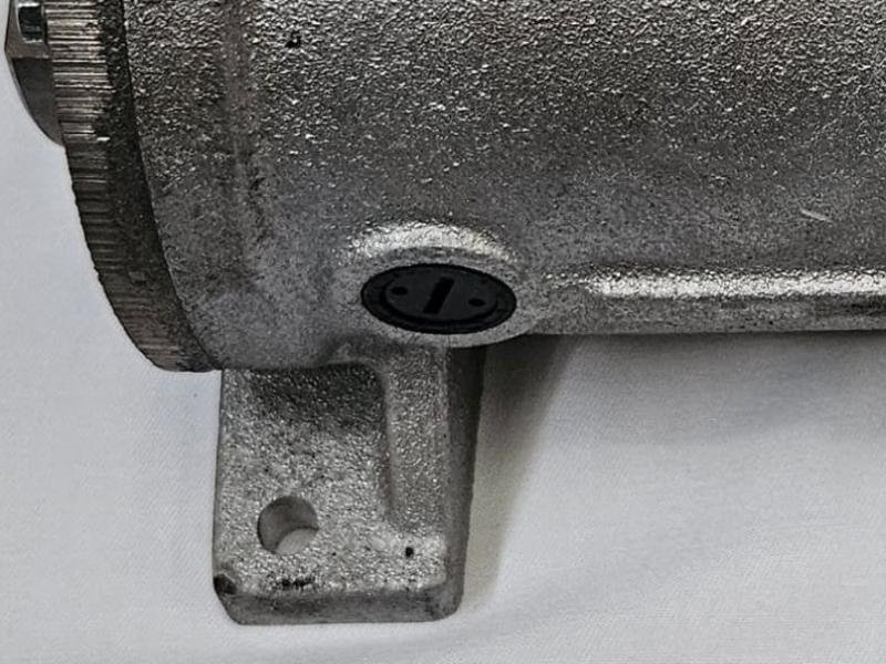 Motor Raimondi Mastino/Terranova 42v.