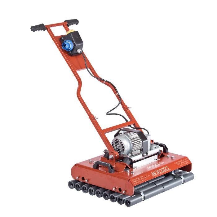 Raimondi Molosso 