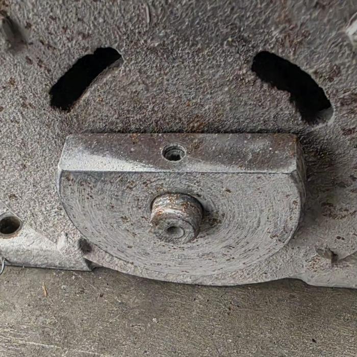 Excentrica motor Raimoni Mastino/Terranova ref.316EC01C