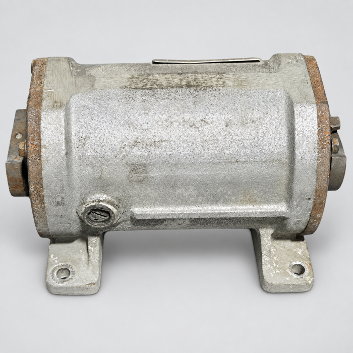 Motor Reacondicionado Raimondi Mastino 44 V. 